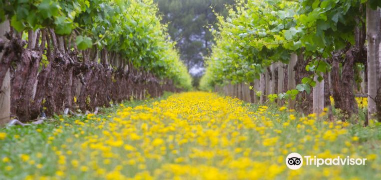 Glenroy 2023 인기 명소 Glenroy 트립 가이드 Glenroy 인기 명소 입장권 추천, 호텔, 가 볼 만한