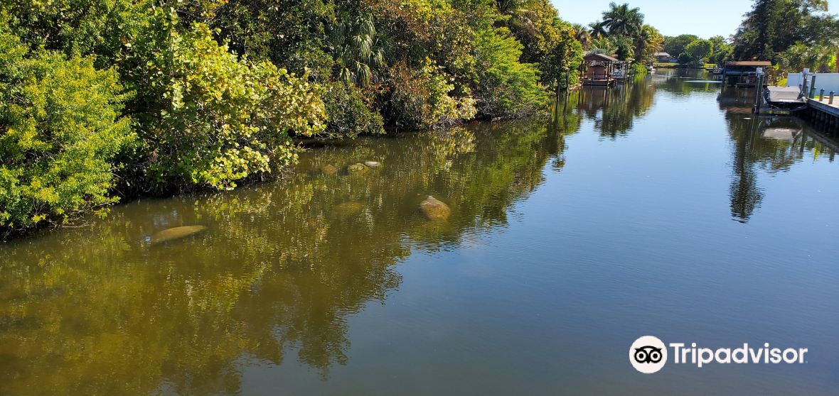 South Patrick Shores Travel Guide 2023 Things to Do, What To Eat