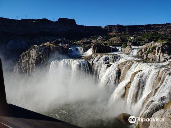 are dogs allowed at shoshone falls