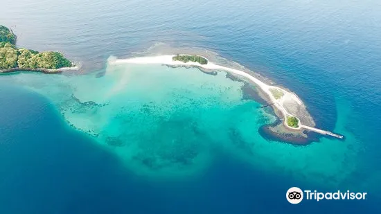 敦賀 水島 評判 案内 トリップドットコム