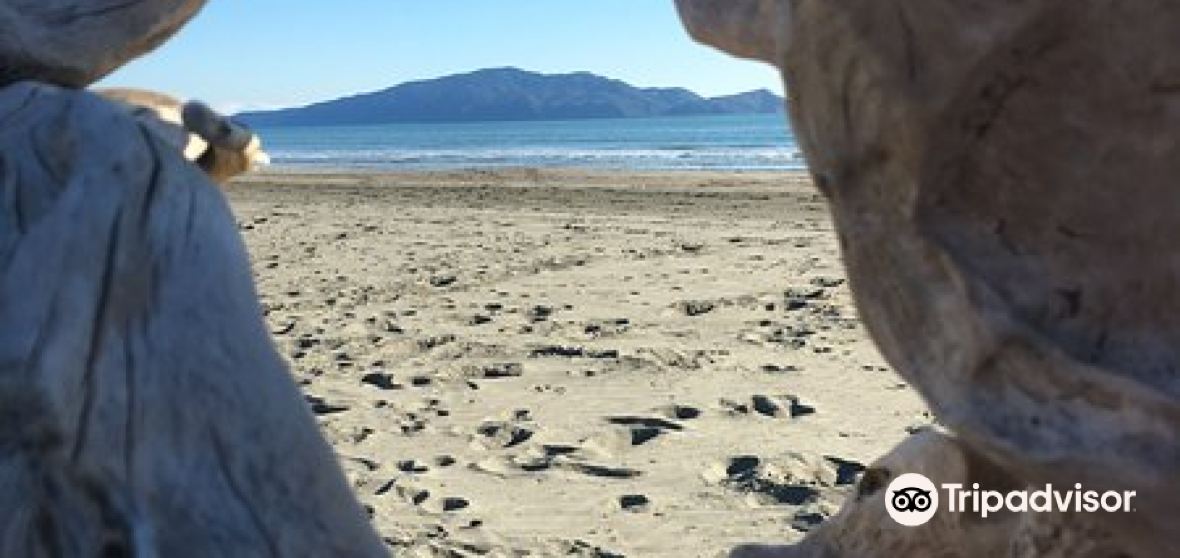 แนะนำการเดินทาง Peka Peka 2023 สิ่งที่ควรทำ, อาหารที่ควรรับประทาน