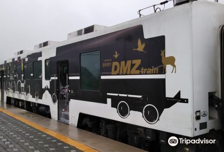 DMZ Train