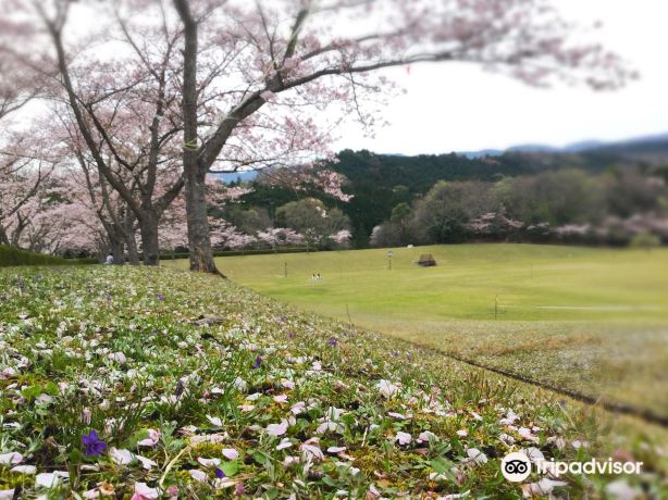 青山高原のレビュー 青山高原のチケット 青山高原の割引 青山高原の交通機関 所在地 営業時間 青山高原周辺の観光スポット ホテル グルメ Trip Com 青山高原のレビュー 青山高原のチケット 青山高原の割引 青山高原の交通機関 所在地 営業時間 青山高原周辺の観光スポット ホテル グルメ Trip Com