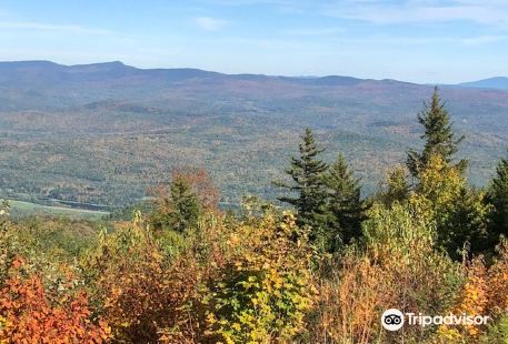 Ascutney State Park