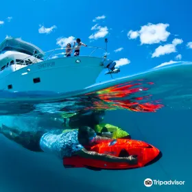 Aroona Luxury Boat Charters - Day Cruise