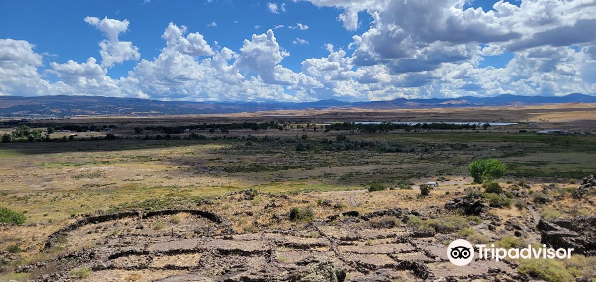 Things to Do in Springerville in 2024 Top Attractions, Local Food