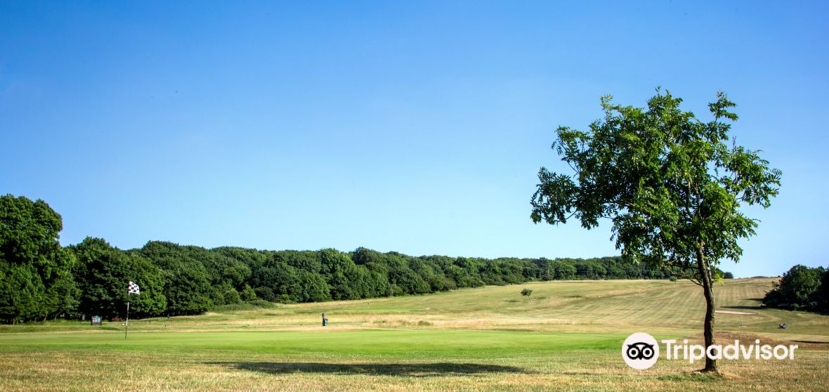 กิจกรรมน่าทำยอดนิยมในWinterborne Cameประจำปี 2023 คู่มือท่องเที่ยว