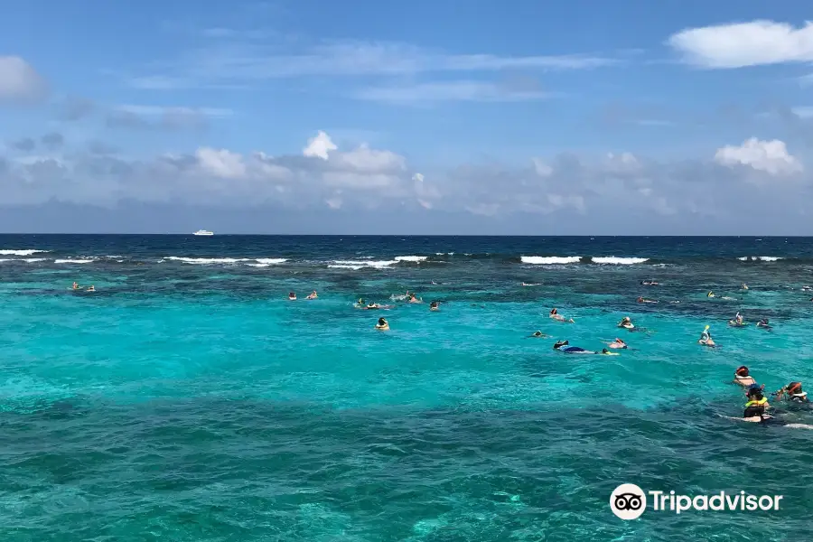 7월의 Grand Cayman Wall에 대한 최신 여행 일정 (2023년에 업데이트됨), Grand Cayman Wall 리뷰