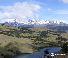 Patagonia Bagual