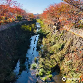 山崎川四季之道