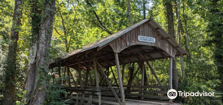 Bibb County Travel Guide 2023 Things To Do What To Eat Tips Trip