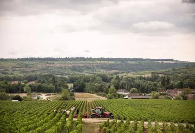 Domaine Jeannot 熱門景點照片