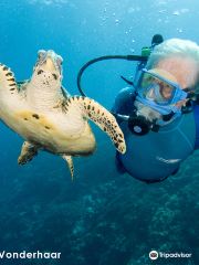 Jean-Michel Cousteau Diving