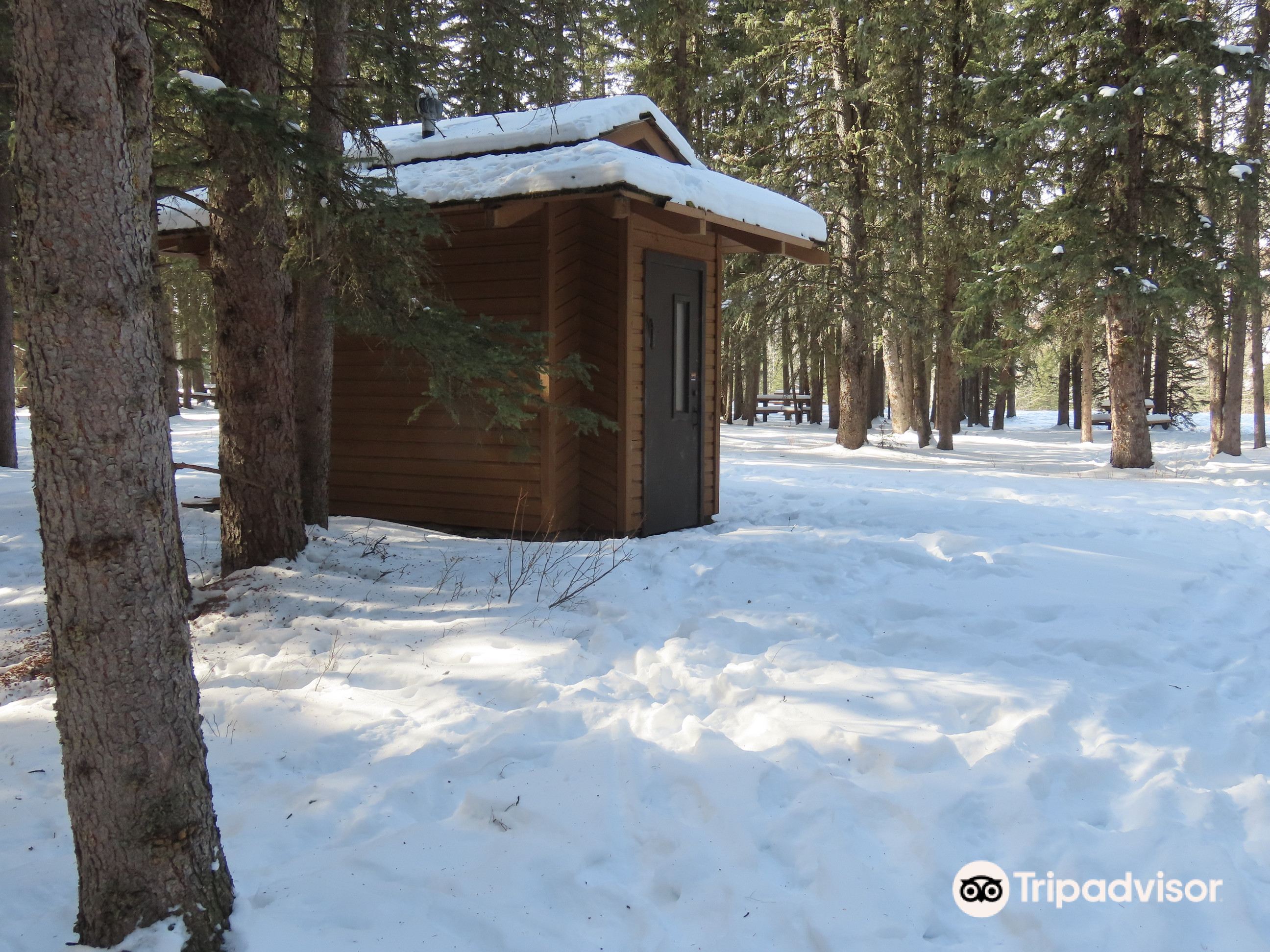 Bragg Creek Provincial Park attraction reviews - Bragg Creek Provincial  Park tickets - Bragg Creek Provincial Park discounts - Bragg Creek  Provincial Park transportation, address, opening hours - attractions,  hotels, and food