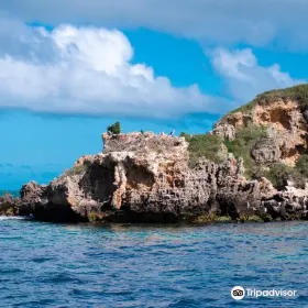 Shoalwater Islands Marine Park