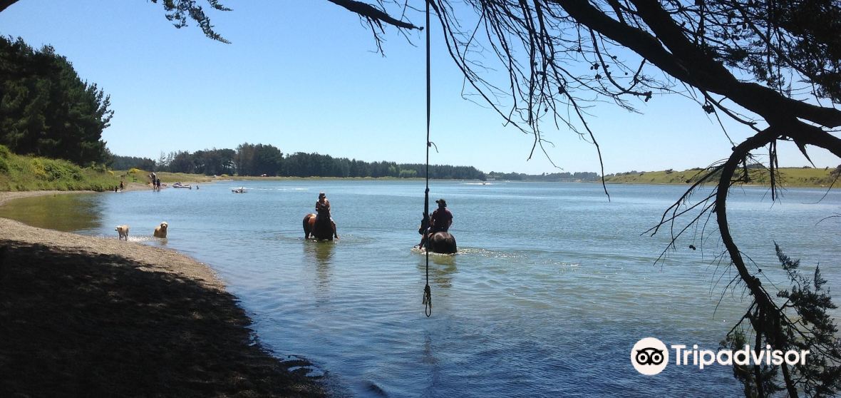 กิจกรรมน่าทำยอดนิยมในOreti Beachประจำปี 2022 คู่มือท่องเที่ยวOreti