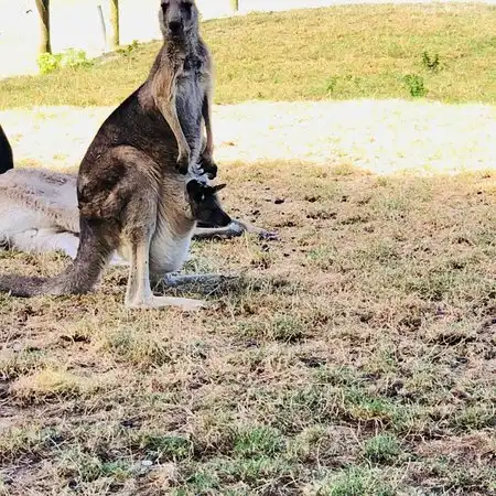 ダブトンのホテル