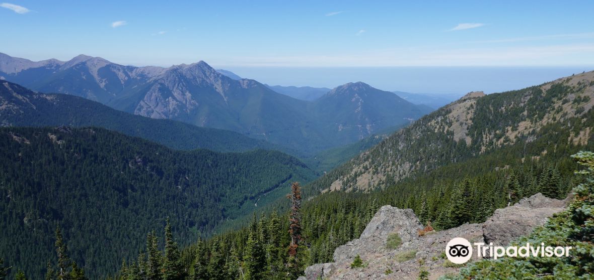 Quilcene Travel Guide 2023 Things to Do, What To Eat & Tips