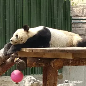 Endangered Animals Center of Beijing