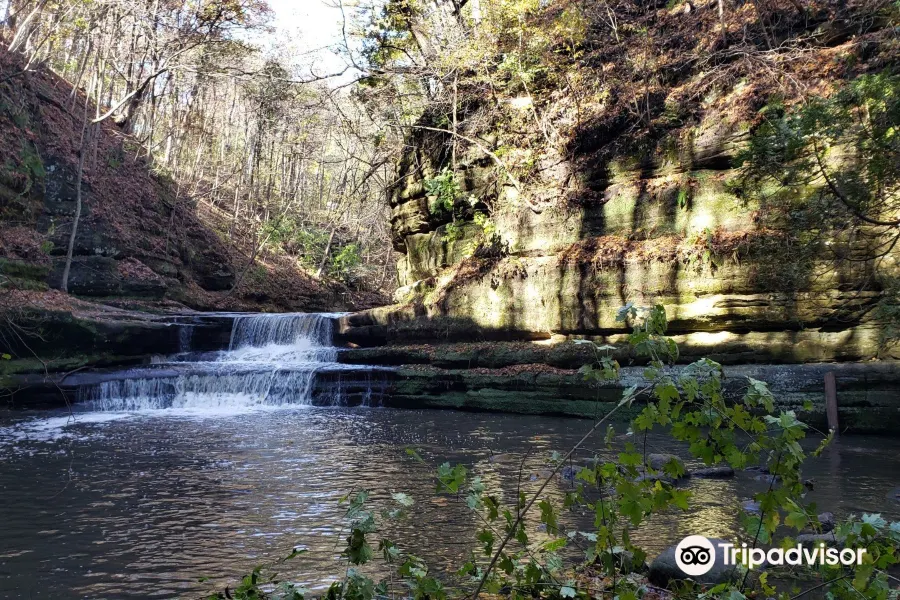 are dogs allowed at matthiessen state park