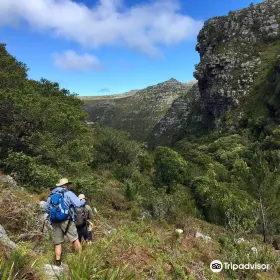 Hoerikwaggo Table Mountain Trail