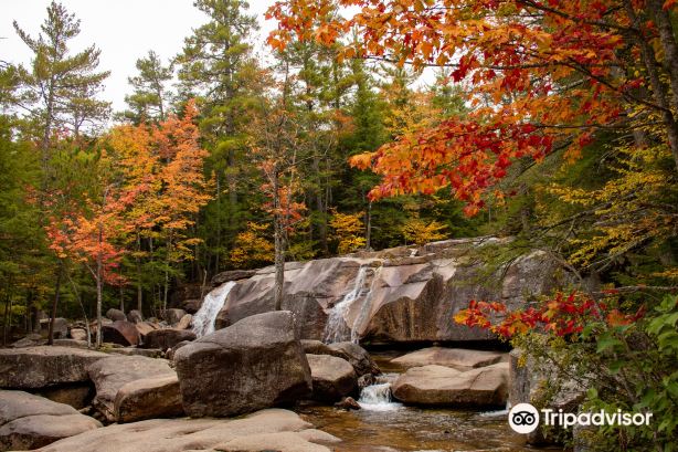 Crawford Notch State Park Attraction Reviews - Crawford Notch State Park  Tickets - Crawford Notch State Park Discounts - Crawford Notch State Park  Transportation, Address, Opening Hours - Attractions, Hotels, And Food