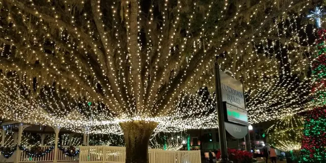 Restaurants Open In Ocala Christmas 2022 Ocala 2022 Top Things To Do - Ocala Travel Guides - Top Recommended Ocala  Attraction Tickets, Hotels, Places To Visit, Dining, And Restaurants -  Trip.com
