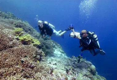 Diving Indo 熱門景點照片