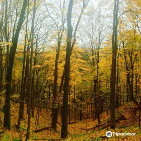Rouge National Urban Park