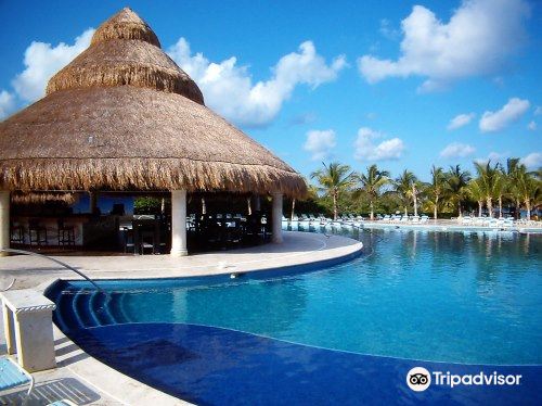 Paradise Beach Cozumel: Tickets, Prices, Reviews & Guide 