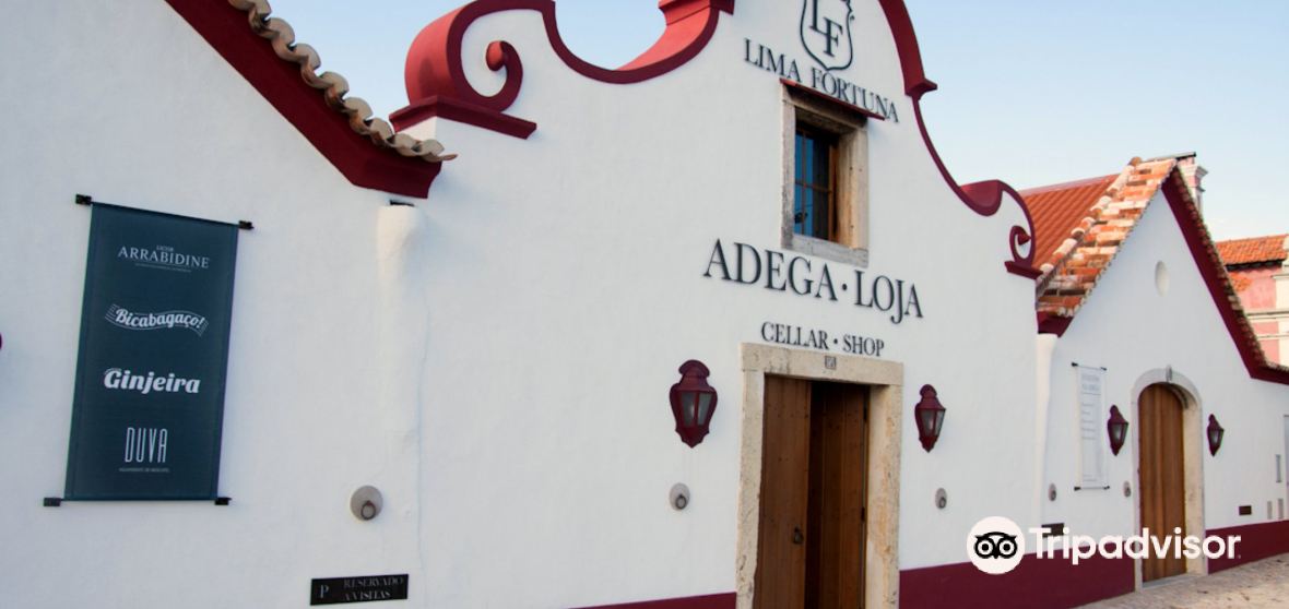 Quinta Do Anjo 2022 인기 명소 Quinta Do Anjo 트립 가이드 Quinta Do Anjo 인기