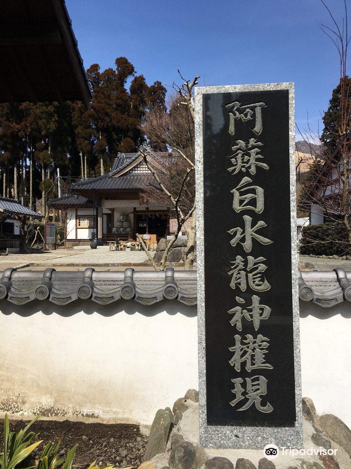 阿蘇白蛇神社のレビュー 阿蘇白蛇神社のチケット 阿蘇白蛇神社の割引 阿蘇白蛇神社の交通機関 所在地 営業時間 阿蘇白蛇神社周辺の観光スポット ホテル グルメ Trip Com