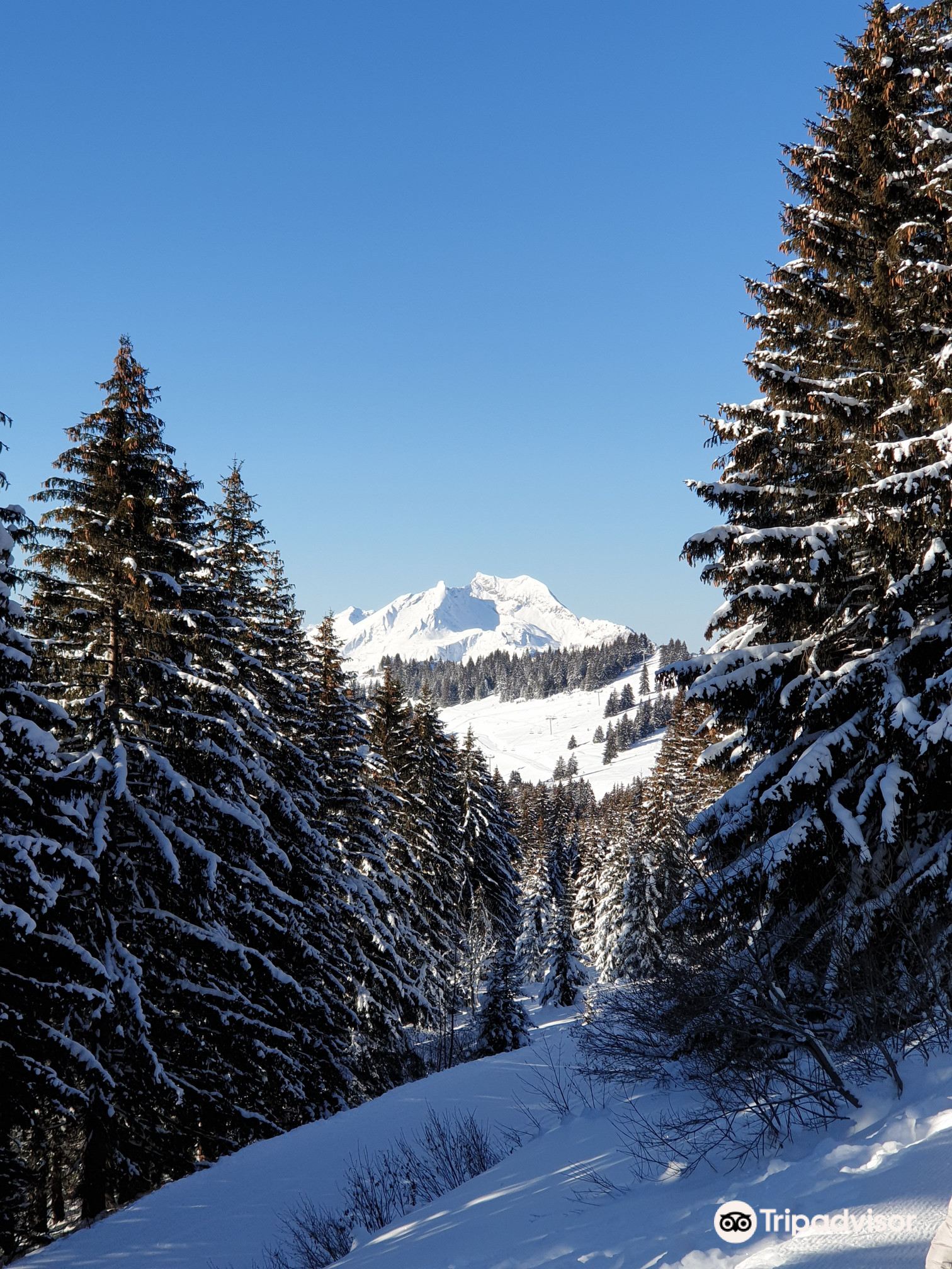 Hotels in Avoriaz