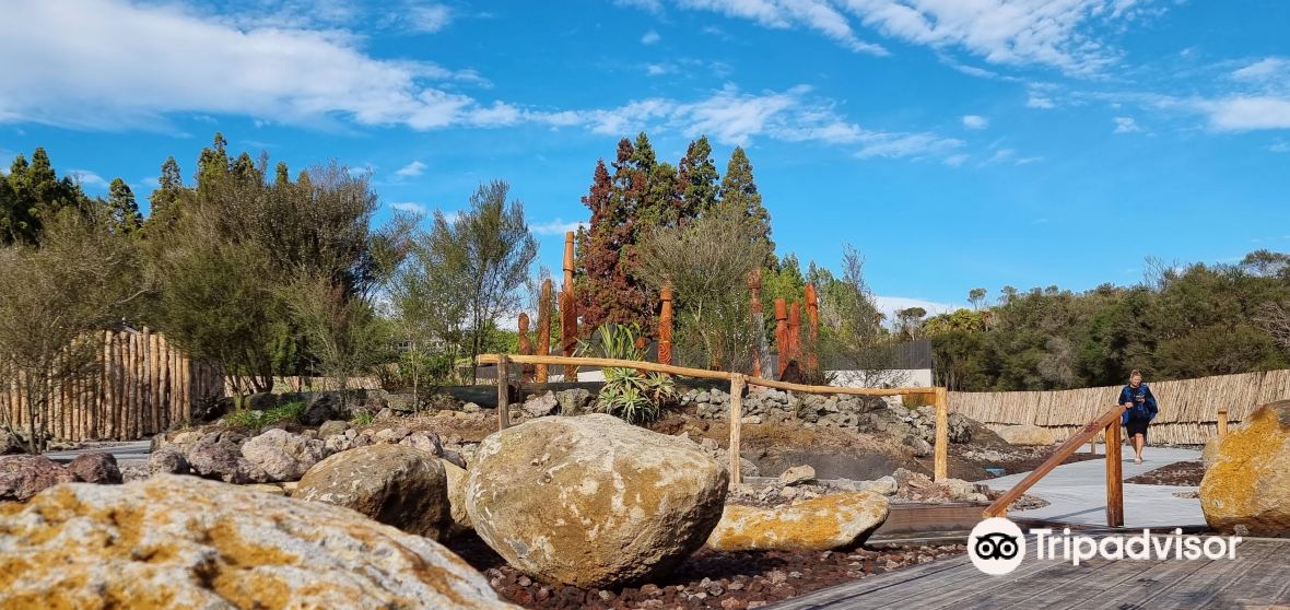 Ngawha Springs Travel Guide 2023 Things to Do, What To Eat & Tips