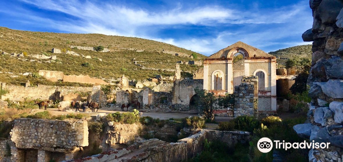 Real de Catorce 2023 Top Things to Do - Real de Catorce Travel Guides - Top  Recommended Real de Catorce Attraction Tickets, Hotels, Places to Visit,  Dining, and Restaurants 