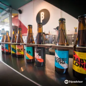 Brussels Beer Project
