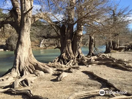 グアダループ リバー州立公園のレビュー グアダループ リバー州立公園のチケット グアダループ リバー州立公園の割引 グアダループ リバー州立公園の交通機関 所在地 営業時間 グアダループ リバー州立公園周辺の観光スポット ホテル グルメ Trip Com