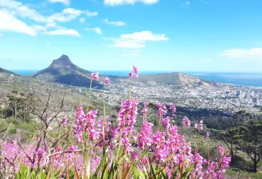 Devil's Peak รูปภาพAttractionsยอดนิยม