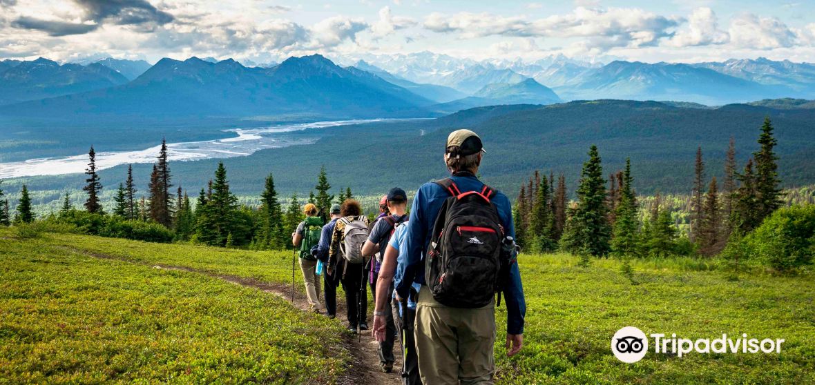 Talkeetna 2023 Top Things to Do Talkeetna Travel Guides Top