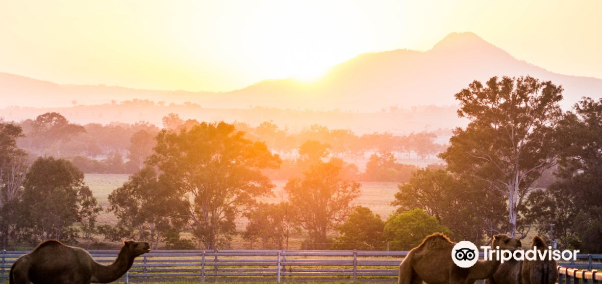 Boonah 2022 Top Things to Do Boonah Travel Guides Top Boonah Attraction Tickets