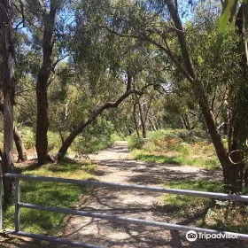 Colley st Bushland Reserve
