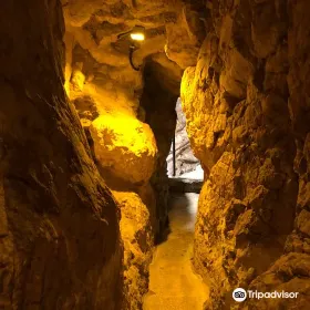 City of David National Park