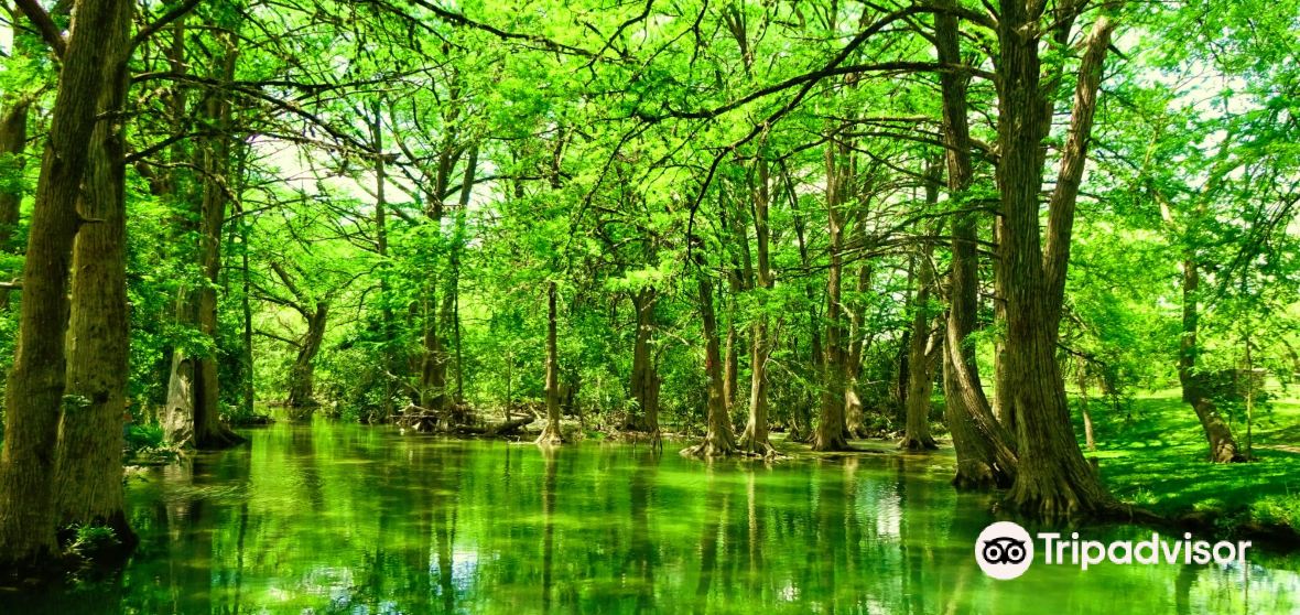 Wimberley Travel Guide 2023 Things to Do, What To Eat & Tips