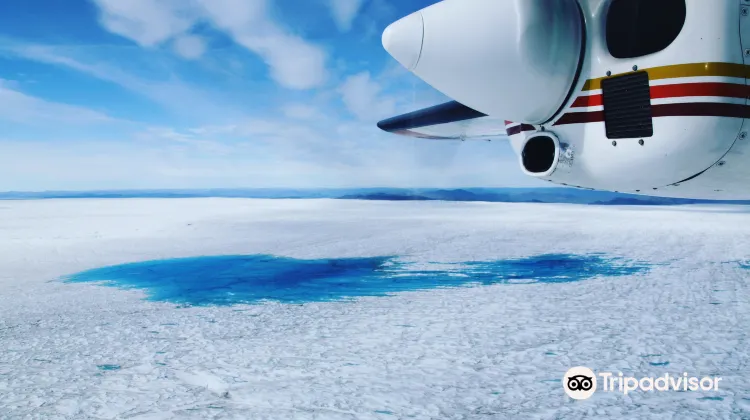 カンゲルルススアーク Airzafari 評判 案内 トリップドットコム