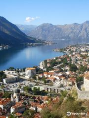 Feel Montenegro