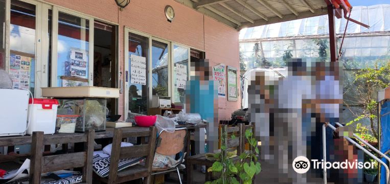 10 Best Things To Do In Numata Gunma Prefecture Numata Travel Guides 21 Trip Com