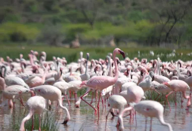 Tazama Africa Holidays รูปภาพAttractionsยอดนิยม