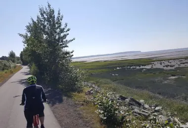 Tony Knowles Coastal Trail 명소 인기 사진