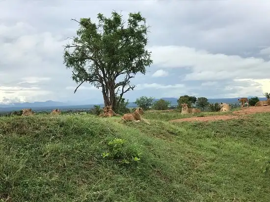 Kilosa