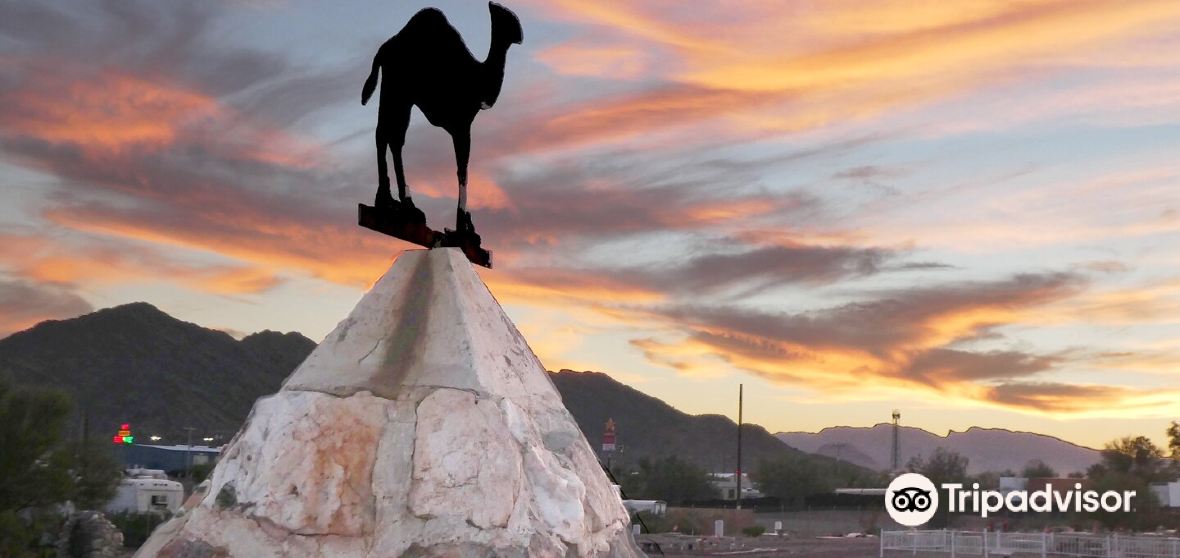 Quartzsite Travel Guide 2023 Things to Do, What To Eat & Tips